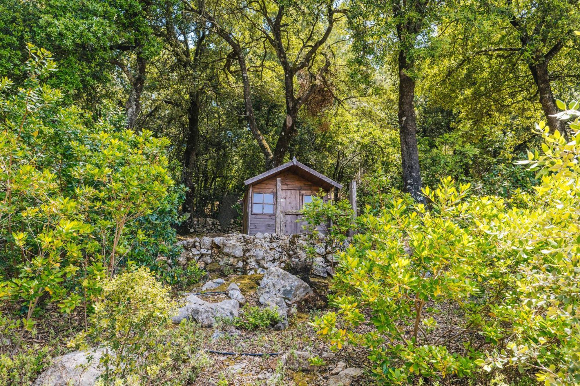 Ca'S Pastor - Chalet De Montana Villa Escorca Luaran gambar